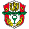 Logo Desa Mamminasae